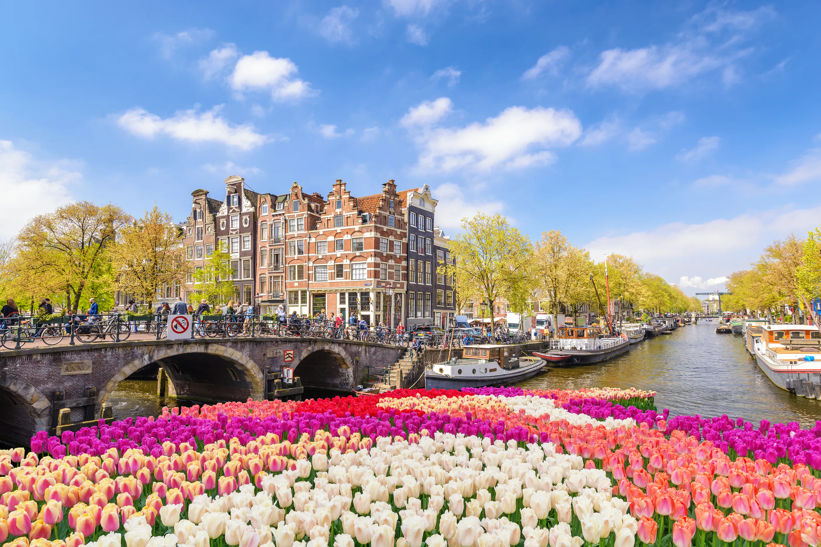Die Stadt der Fahrräder - Mein Studium in Amsterdam