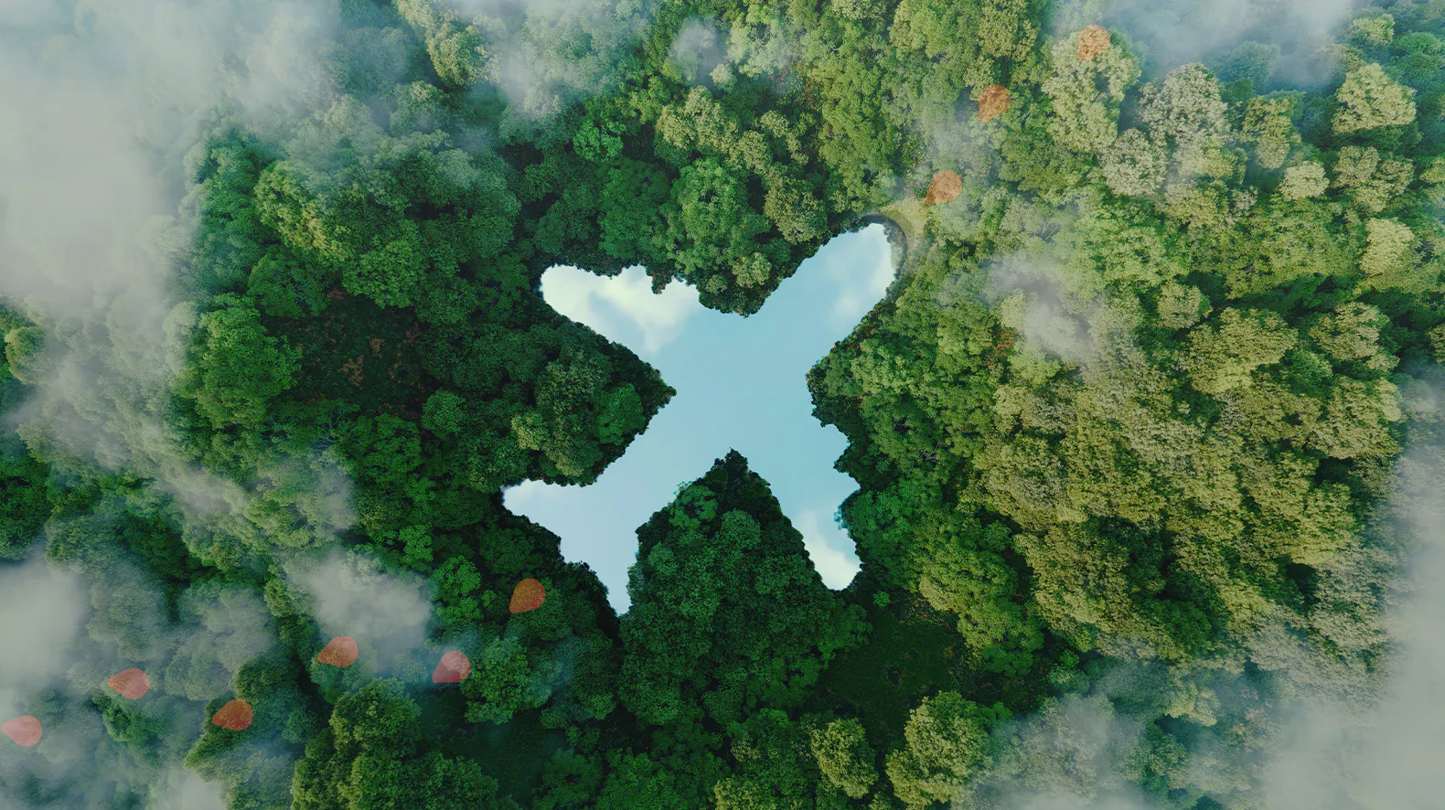 Here’s how to travel more sustainably!