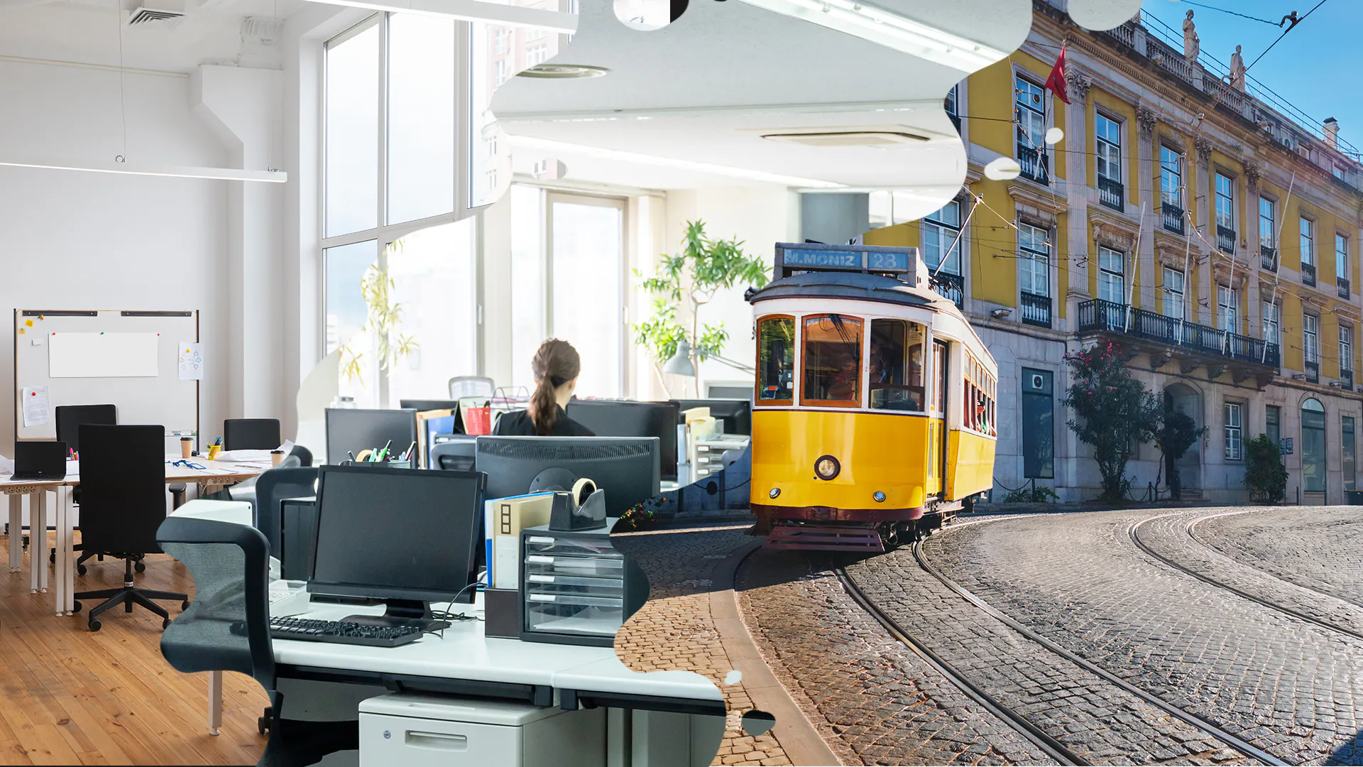 De internationale werkgevers met wie we samenwerken