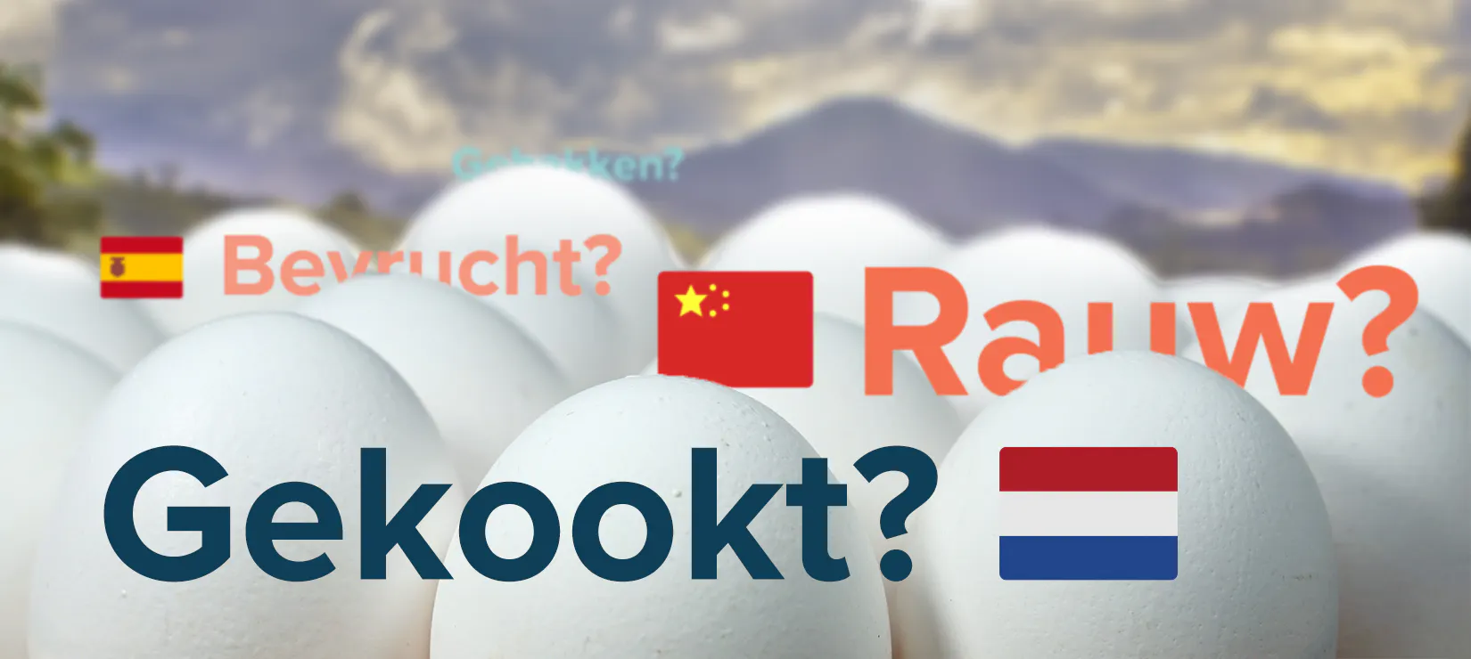Bijzondere gerechten in het buitenland