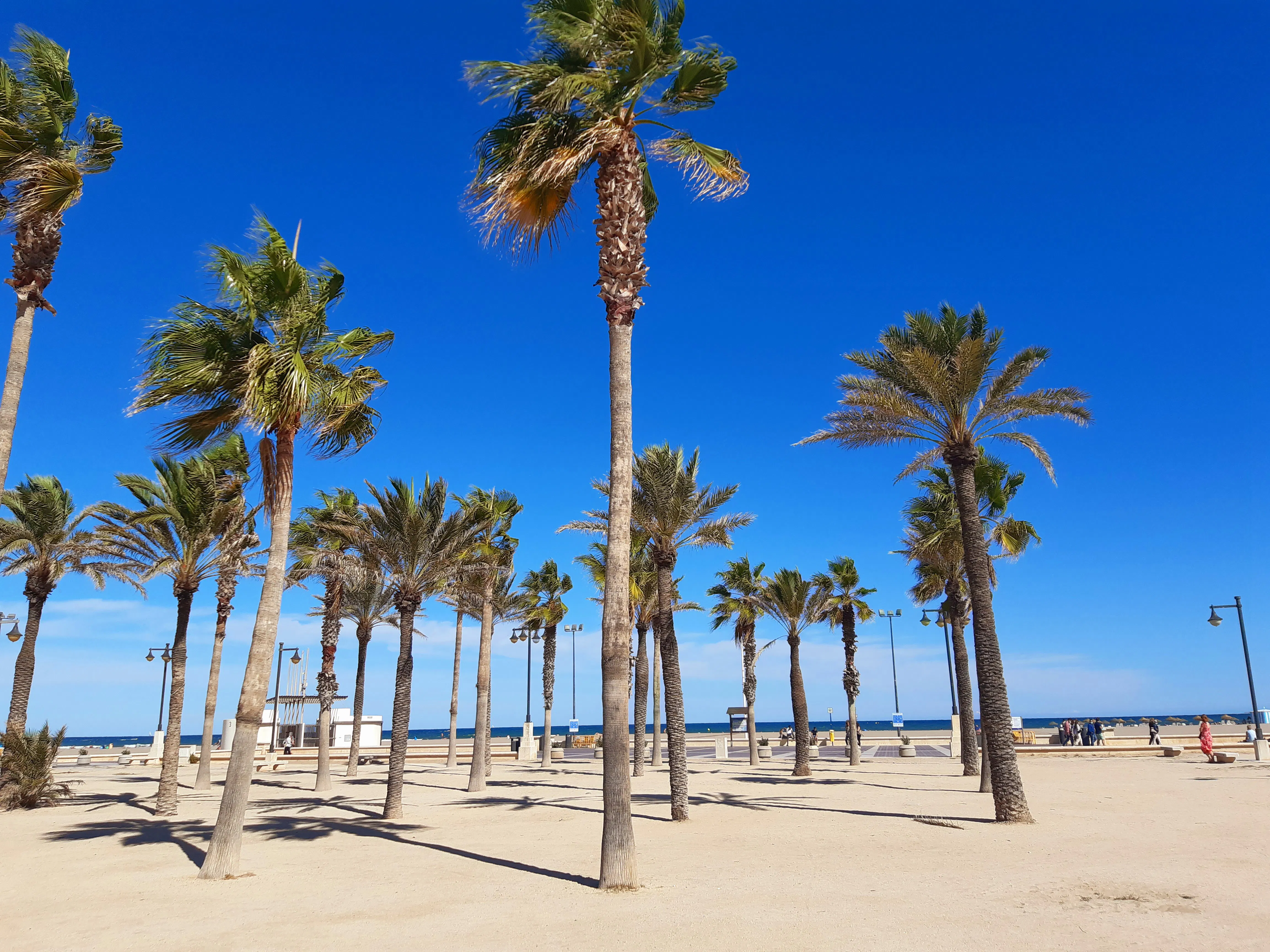 Susannas spannendes Abenteuer in Valencia